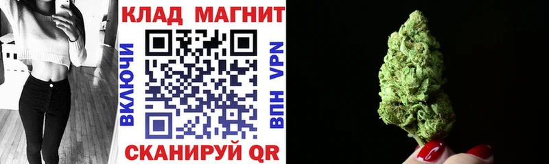 Псилоцибиновые грибы Правдинск