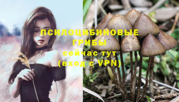 меф Абинск