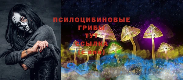 марки lsd Абаза