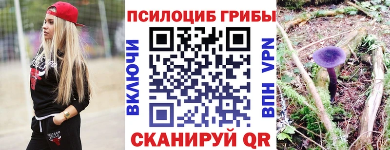 МЕГА зеркало  купить наркотик  Правдинск  Псилоцибиновые грибы мухоморы 